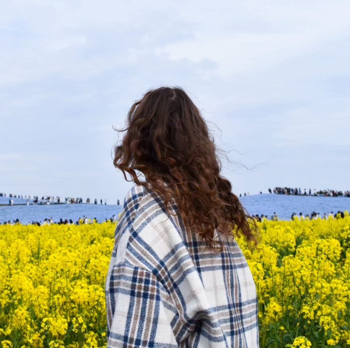 Hidden Gems in Tokyo